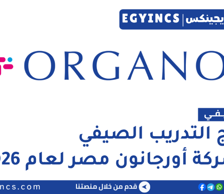التدريب الصيفي في شركة أورجانون مصر لعام 2026 Organon Egypt Future Talent Commercial Summer Internship