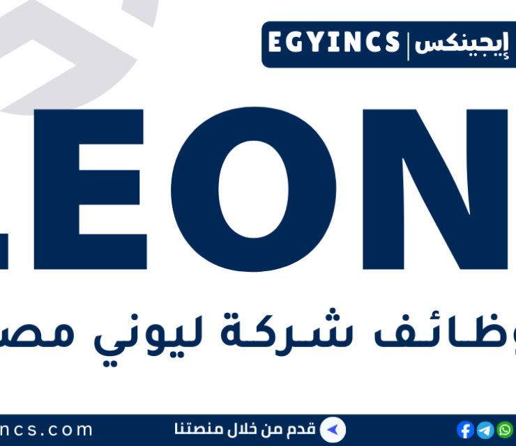 وظيفة مهندس تسعير في شركة ليوني LEONI Egypt Pricing Engineer Job