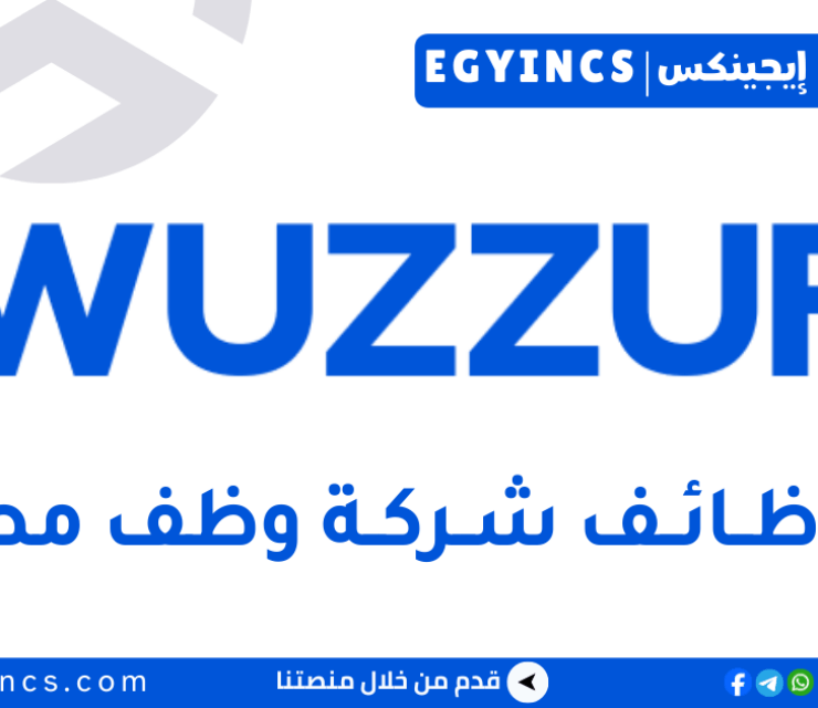 وظيفة مدير حسابات مبيعات في شركة وظف WUZZUF Sales Account Manager Job
