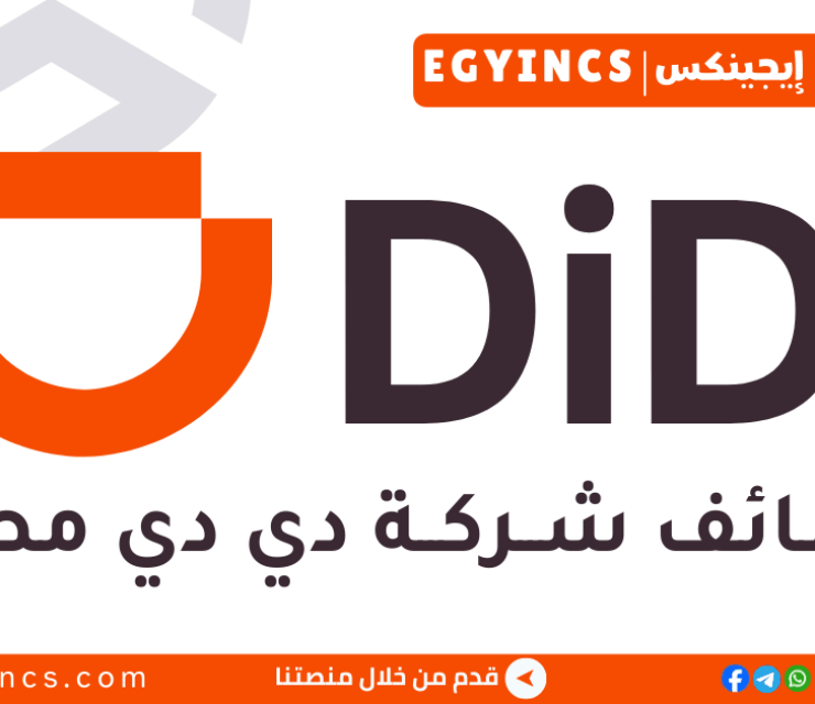 وظيفة محلل عمليات في شركة ديدي مصر DiDi Egypt Operations Analyst Job