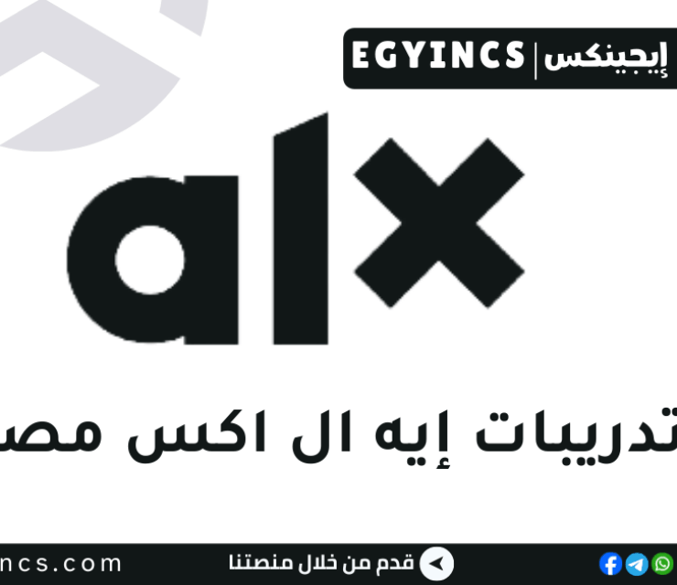 تدريب اكتساب المتعلمين غير المتصلين بالإنترنت في شركة ايه إل اكس مصر ALX Egypt Offline Learners Acquisition Internship