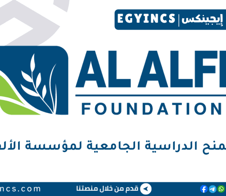 برنامج المنح الدراسية الجامعية لمؤسسة الألفي للعلوم والتكنولوجيا والهندسة والرياضيات لعام 2025/2026 Al Alfi Foundation STEM Undergraduate Scholarships