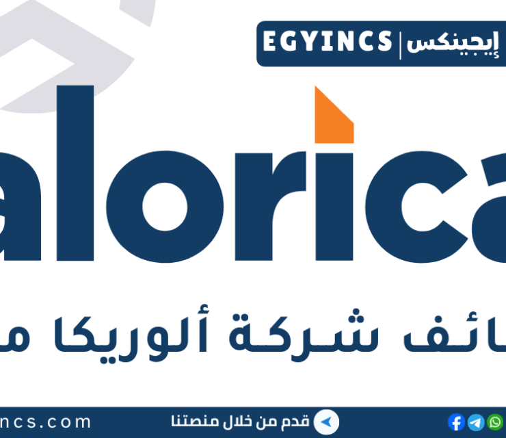 وظيفة دعم العملاء باللغة الإنجليزية في شركة ألوريكا مصر Alorica Egypt English Customer Support Job | B2B Account