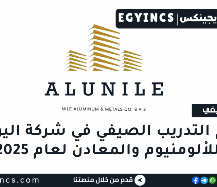 برنامج التدريب الصيفي في شركة النيل للالومنيوم والمعادن اليونايل لعام 2025 AluNile Summer Internship Program