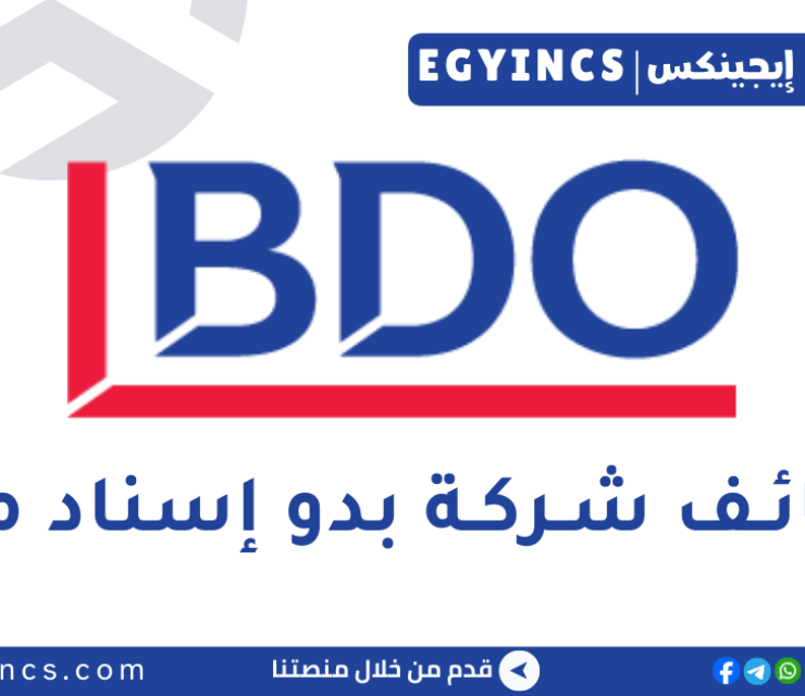 وظيفة أخصائي رواتب في شركة بدو إسناد مصر BDO Esnad Egypt Payroll Specialist job
