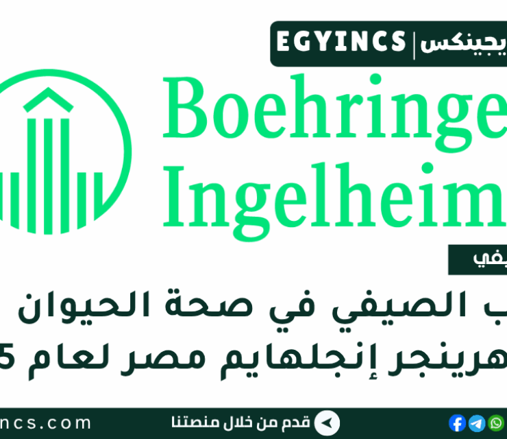 التدريب الصيفي في صحة الحيوان في شركة بوهرينجر إنجلهايم مصر لعام 2025 Boehringer Ingelheim Egypt Animal Health Internship
