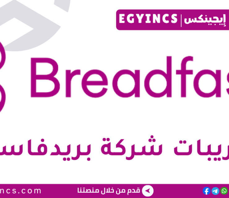 تدريب الضرائب في في شركة بريدفاست Breadfast Tax Internship
