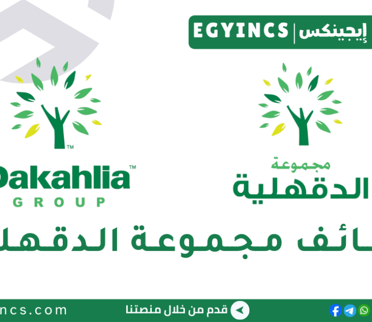 وظيفة مسؤول إدارة مشروعات في مجموعة الدقهلية Dakahlia Group Projects Management Officer (Non Engineering)