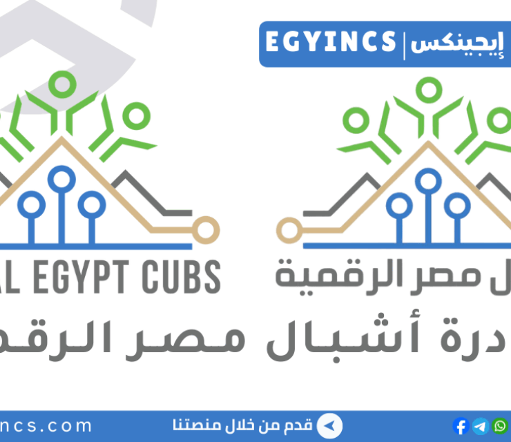 مبادرة أشبال مصر الرقمية Digital Egypt Cubs Initiative Deci