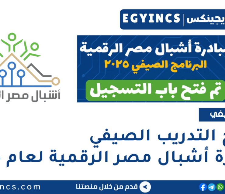 التدريب الصيفي بمبادرة أشبال مصر الرقمية لعام 2025 Digital Egypt Cubs Initiative Deci Summer Internship