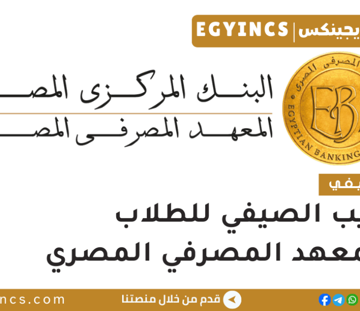 التدريب الصيفي للطلاب في المعهد المصرفي المصري The Egyptian Banking Institute EBI Summer Internship for Students