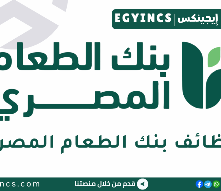 وظيفة مسؤول حسابات المبيعات (طنطا – المنوفية – المنصورة) في بنك الطعام المصري Egyptian Food Bank Sales Account Officer (Tanta – Menoufia – Mansoura)