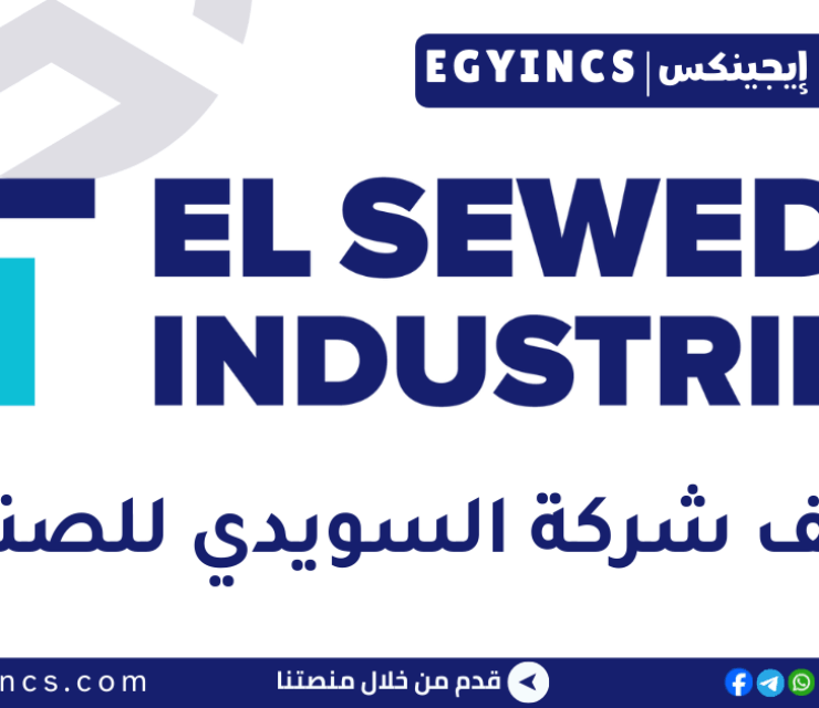 وظيفة محاسب فرع بالساحل الشمالي في شركة السويدي للصناعات Elsewedy industries Branch Accountant Job – North Coast