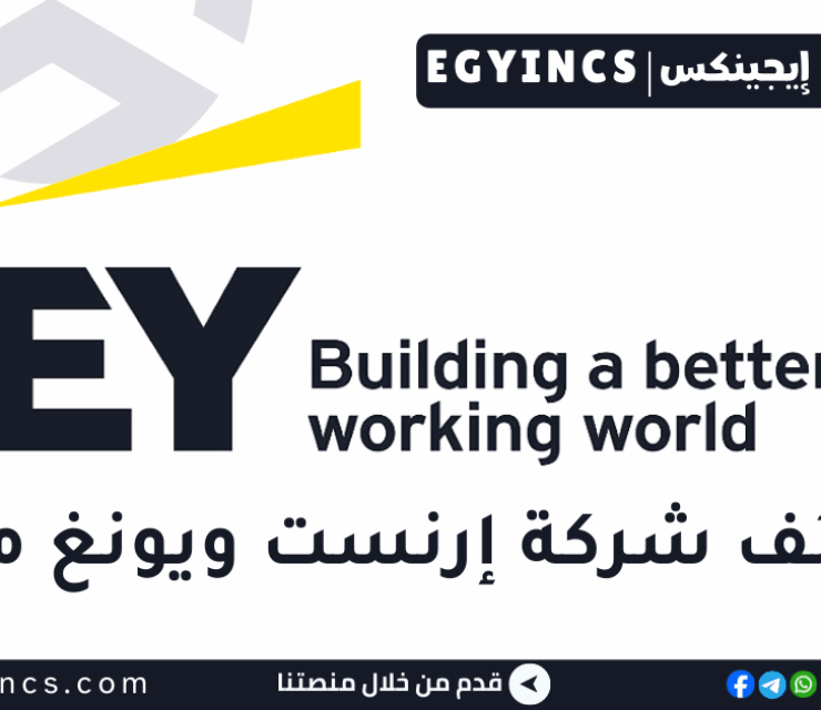 تدريب استشارات المخاطر في شركة إرنست ويونغ مصر EY Cairo Risk Consulting Graduate Program