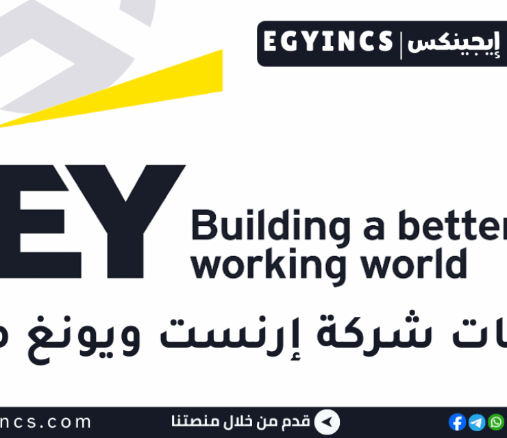 تدريب الإستراتيجية والمعاملات – التقييمات والنمذجة والاقتصاد – المعدات الرأسمالية في شركة إرنست ويونغ مصر Ernst & Young EY Cairo Strategy and Transaction  Valuations, Modeling & Economics Capital Equipment Graduate