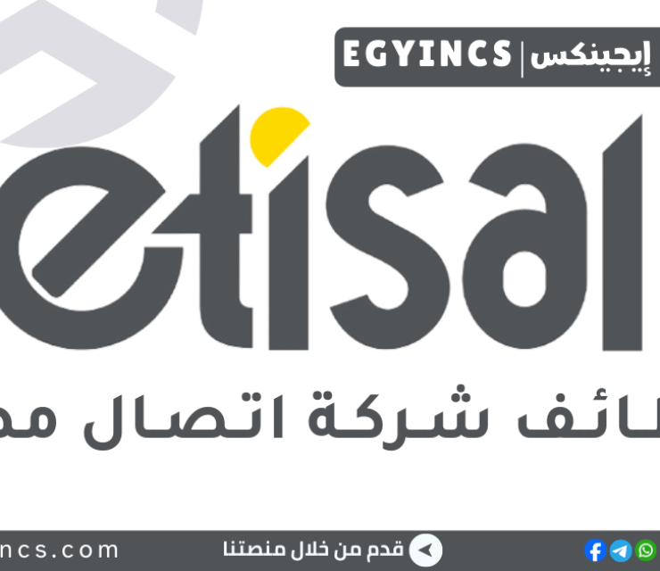 وظيفة مندوب مبيعات داخل الفرع في شركة اتصال Etisal EG In-store sales representative Job