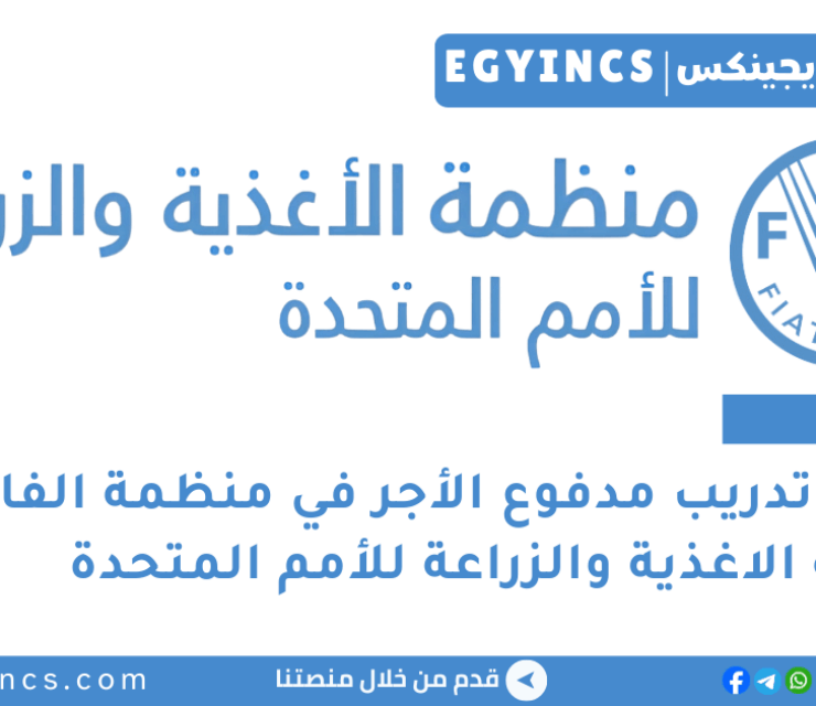برنامج تدريب منظمة الفاو الاغذية والزراعة للأمم المتحدة FAO Call for Expression of Interest Internship Programme