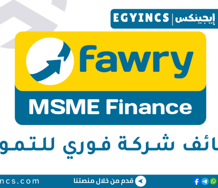وظيفة محلل بيانات المخاطر في شركة فوري للتمويل Fawry MSME Finance Risk Data Analyst Job