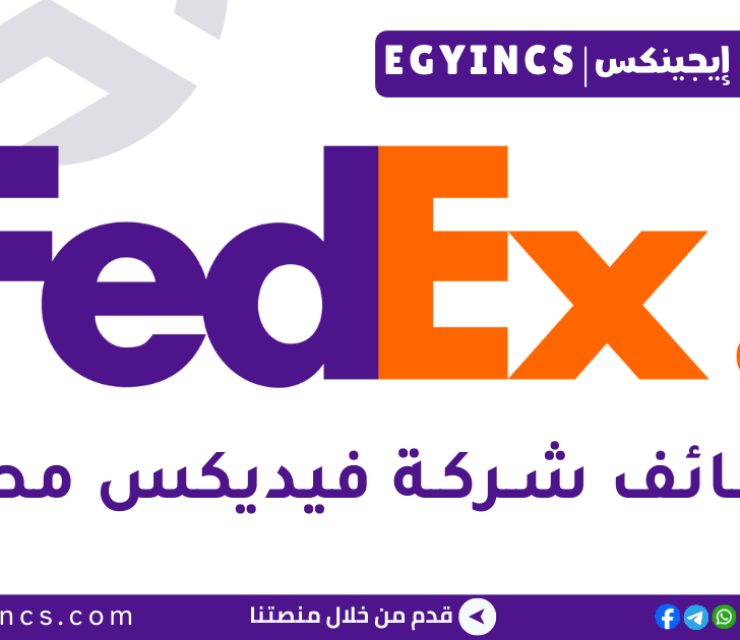 وظيفة مسؤول دعم خدمة العملاء في شركة فيديكس مصر FedEx Egypt Customer Care Support Administrator Job