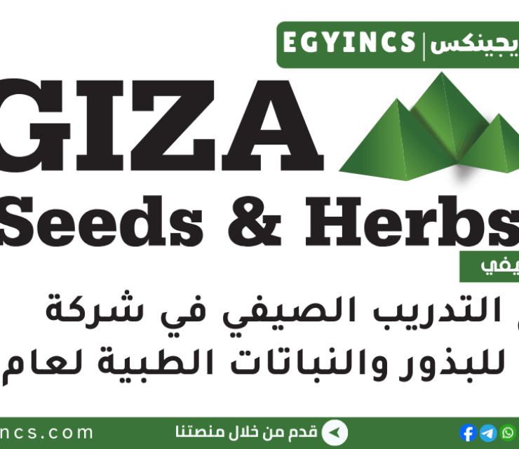 برنامج التدريب الصيفي في شركة الجيزة للبذور والنباتات الطبية لعام 2025 Giza Seeds & Herbs Summer Internship