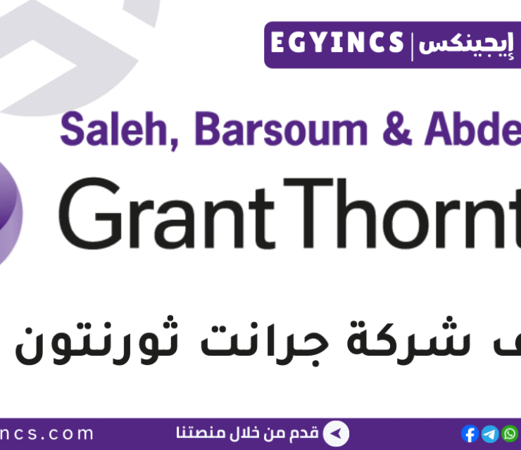 وظيفة محاسب مساعد / مراجع مبتدئ في جرانت ثورنتون مصر Grant Thornton Egypt Audit & Assurance – Associate Job