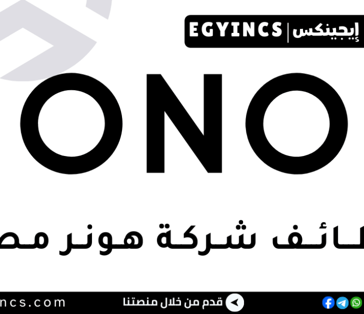 وظيفة مساعد مالي في شركة هونر مصر HONOR Egypt  Financial Assistant Job