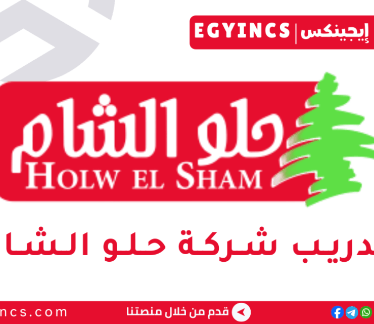 تدريب منسق موارد بشرية في شركة حلو الشام  Holw El Sham HR Coordinator Internship