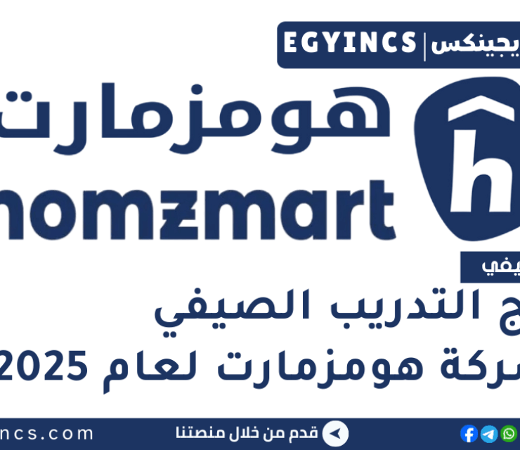 برنامج التدريب الصيفي هومز-إن في شركة هومزمارت لعام 2025 Homzmart Homz-in Summer Internship Program