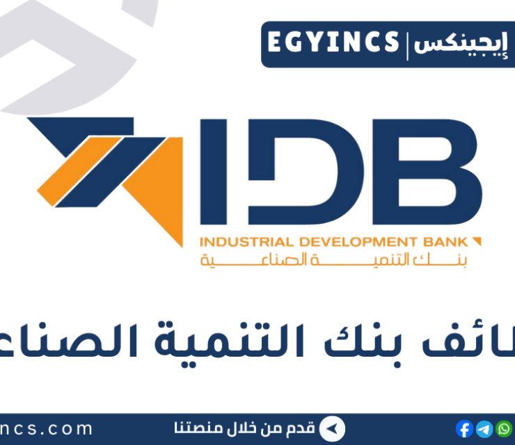 وظيفة تيلر بالمنصورة في بنك التنمية الصناعية المصري Industrial Development Bank IDB Teller Job – Mansoura Branch