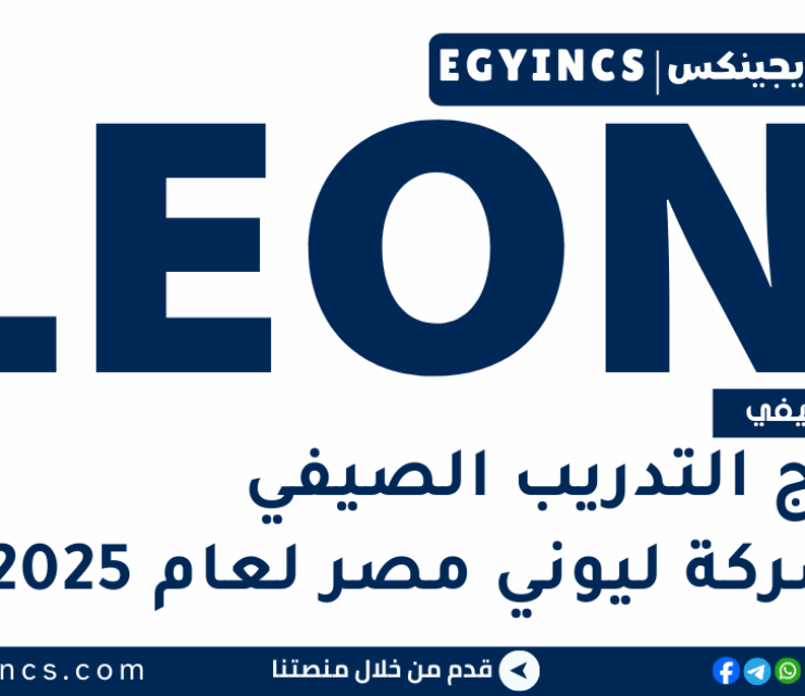 برنامج التدريب الصيفي في شركة ليوني مصر لعام 2025 LEONI EGYPT Summer Internship Program