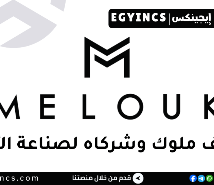 وظيفة سيلز داخل الفروع بالدقهلية في شركة ملوك وشركاه لصناعة الأحذية Malouk Sales Indoor Job