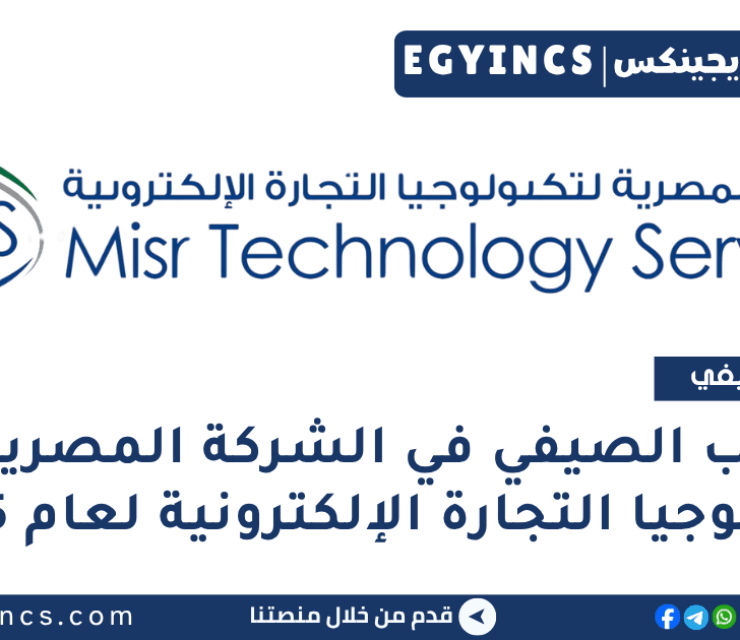 برنامج التدريب الصيفي في الشركة المصرية لتكنولوجيا التجارة الإلكترونية لعام 2025 Misr Technology Services MTS Summer Internship Program