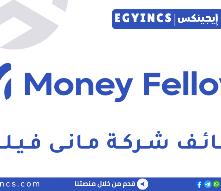 وظيفة محلل مالي في شركة مانى فيللوز Money Fellows Financial Analyst Job