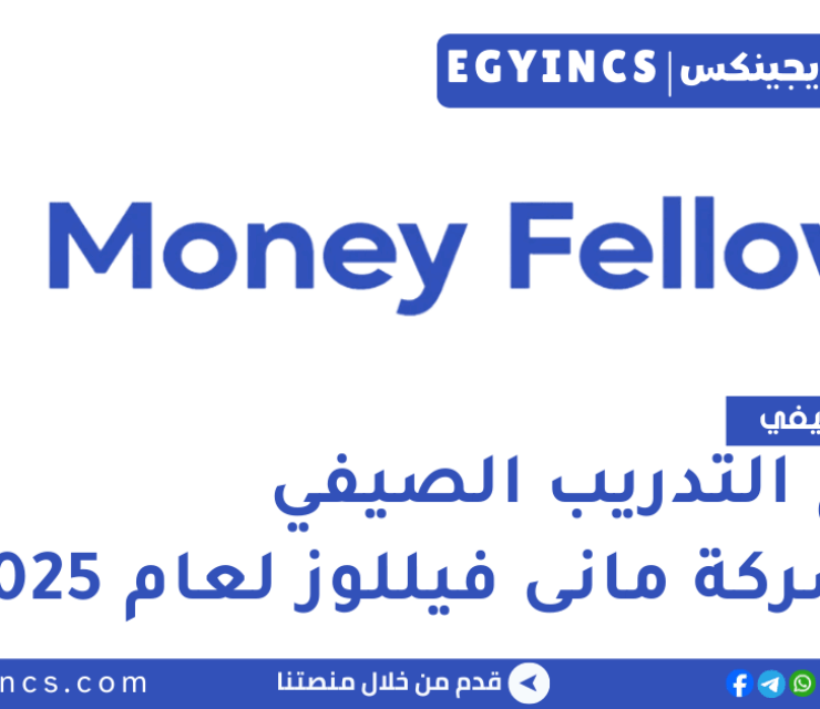 برامج التدريب الصيفي في شركة مانى فيللوز لعام 2025 Money Fellows Summer Internship Programs