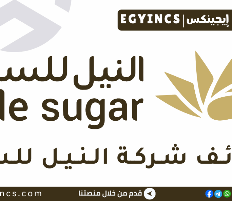 وظيفة محاسب خزانة مبتدئ في شركة النيل للسكر Nile Sugar Junior Treasury Accountant Job