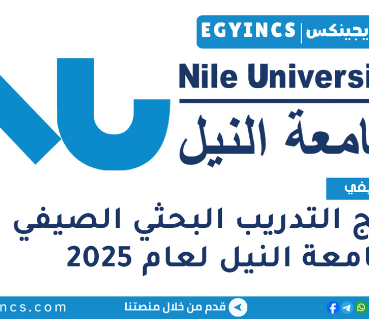 برنامج التدريب البحثي الصيفي في جامعة النيل لعام 2025 Nile University Summer Research Internship