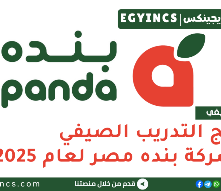 برنامج التدريب الصيفي في شركة بنده مصر لعام 2025 Panda Egypt Summer Internship