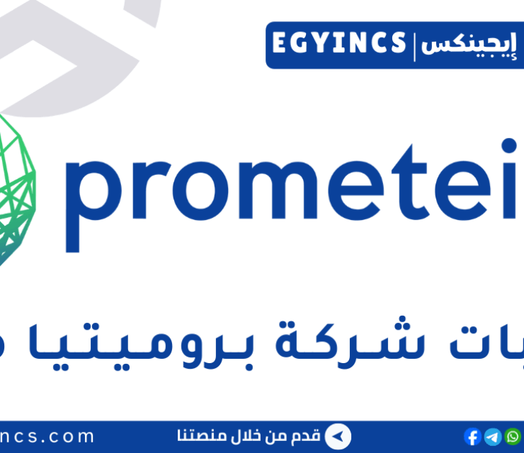 تدريب مستشار مبتدئ في قاعدة بيانات مخاطر الائتمان في شركة بروميتيا Prometeia Junior Credit Risk Database Consultant Internship