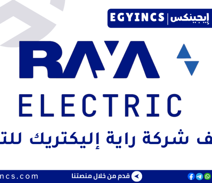 وظيفة مساعد امين مخزن بالجيزة في شركة راية للتوزيع Raya Trade Assistant Storekeeper Job – Giza