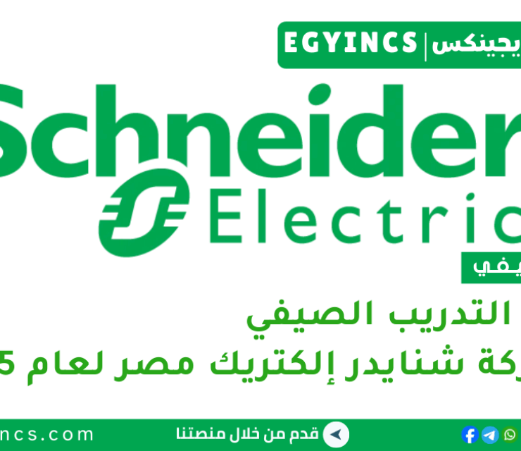 برنامج التدريب الصيفي في شركة شنايدر إلكتريك مصر لعام 2025 Schneider Electric NextGen Summer Internship Program