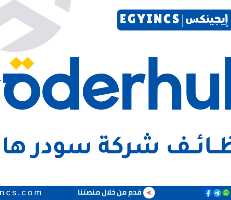 تدريب محلل أعمال في شركة سودر هاب مصر Söderhub Egypt Business Analyst Internship