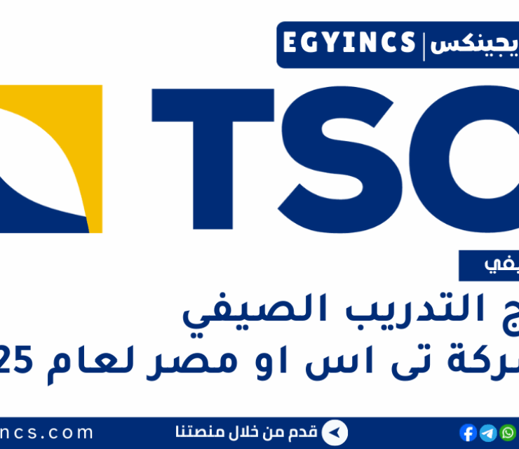 برنامج التدريب الصيفي في شركة تى اس او مصر لعام 2025 TSO Egypt summer Training Program