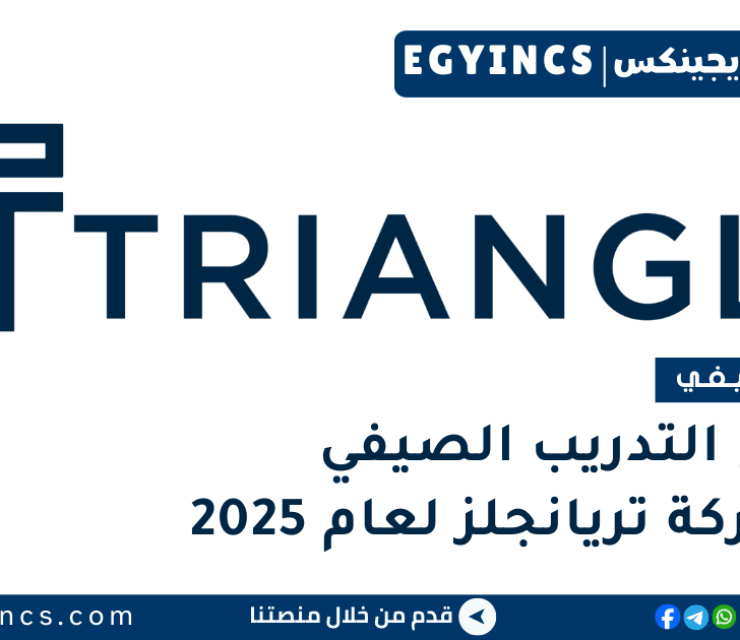 برنامج التدريب الصيفي في شركة تريانجلز لعام 2025 TrianglZ Internship Program