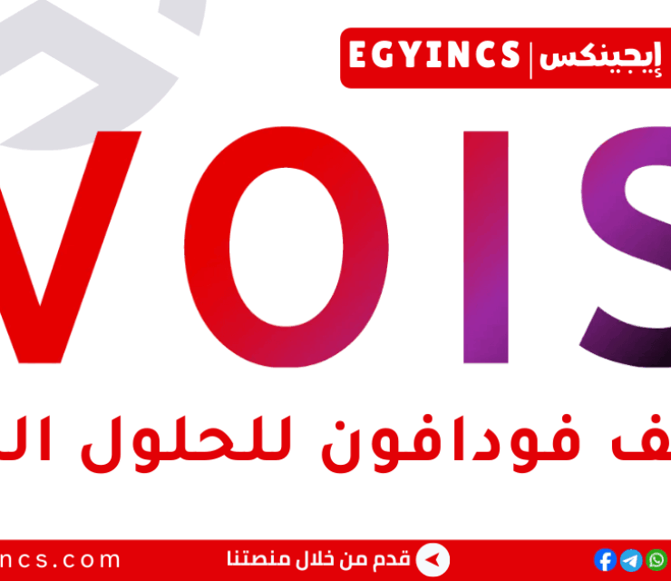 وظيفة محلل تنشيط الفواتير في شركة فودافون للحلول الذكية VOIS EG Billing Activation Analyst Job
