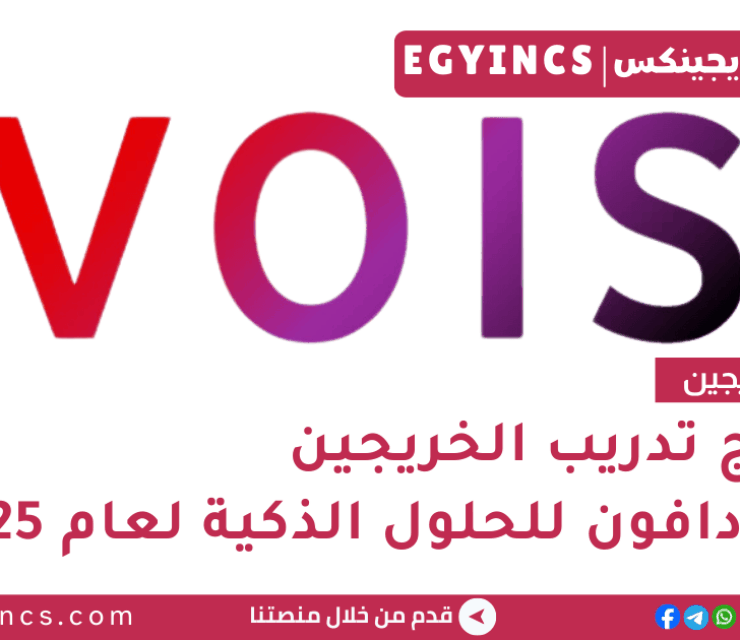 برنامج تدريب الخريجين في شركة حلول فودافون الذكية لعام 2025 VOIS EG Discover Graduate Programme