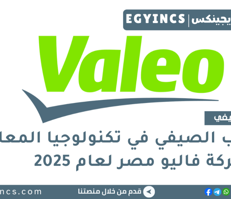 التدريب الصيفي في تكنولوجيا المعلومات من شركة فاليو مصر لعام 2025 Valeo Egypt Summer IT Internship Program