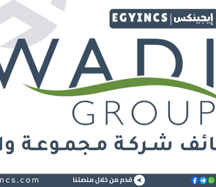 وظيفة محلل بيانات مبتدئ في شركة مجوعة وادي Wadi Group Junior Data Analyst Job