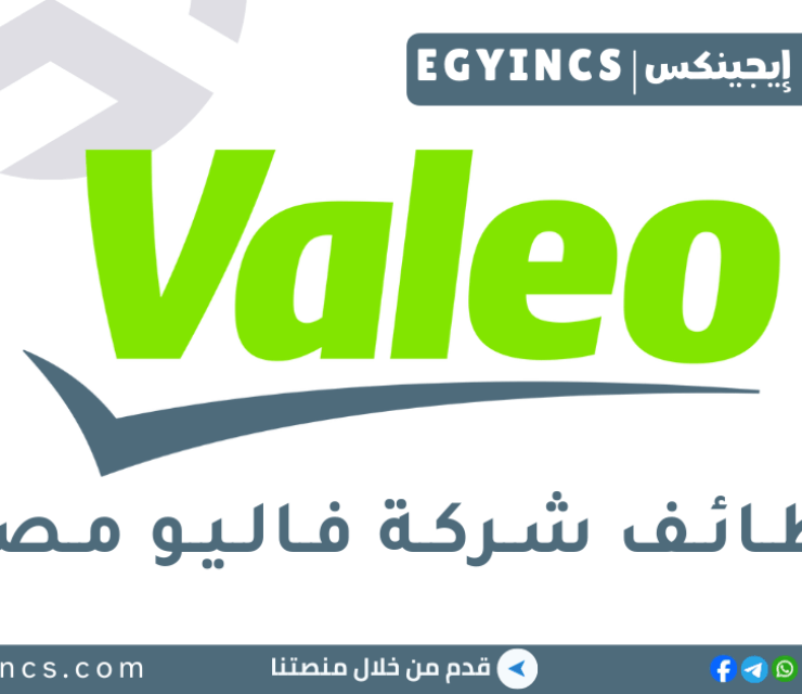 وظيفة مهندس بنية تحتية لنظم المعلومات في شركة فاليو مصر Valeo Egypt System Engineer, POWER