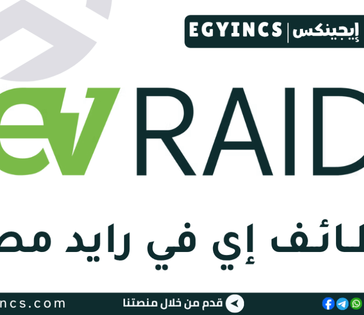 وظيفة أمين مستودع (مصنع / إنتاج) في شركة إي في رايد مصر EV Raid Egypt Storekeeper (Factory / Manufacturing)