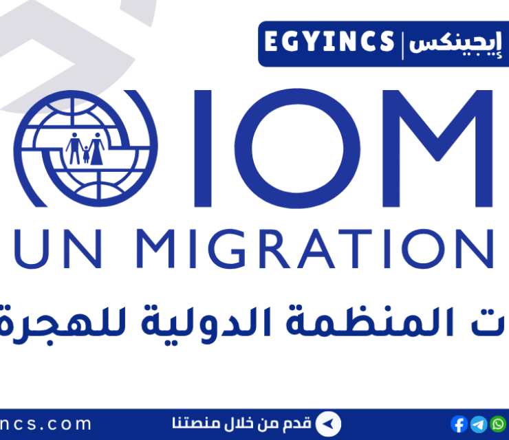 تدريب الدعم المالي في المنظمة الدولية للهجرة مصر IOM Egypt Finance Support Internship
